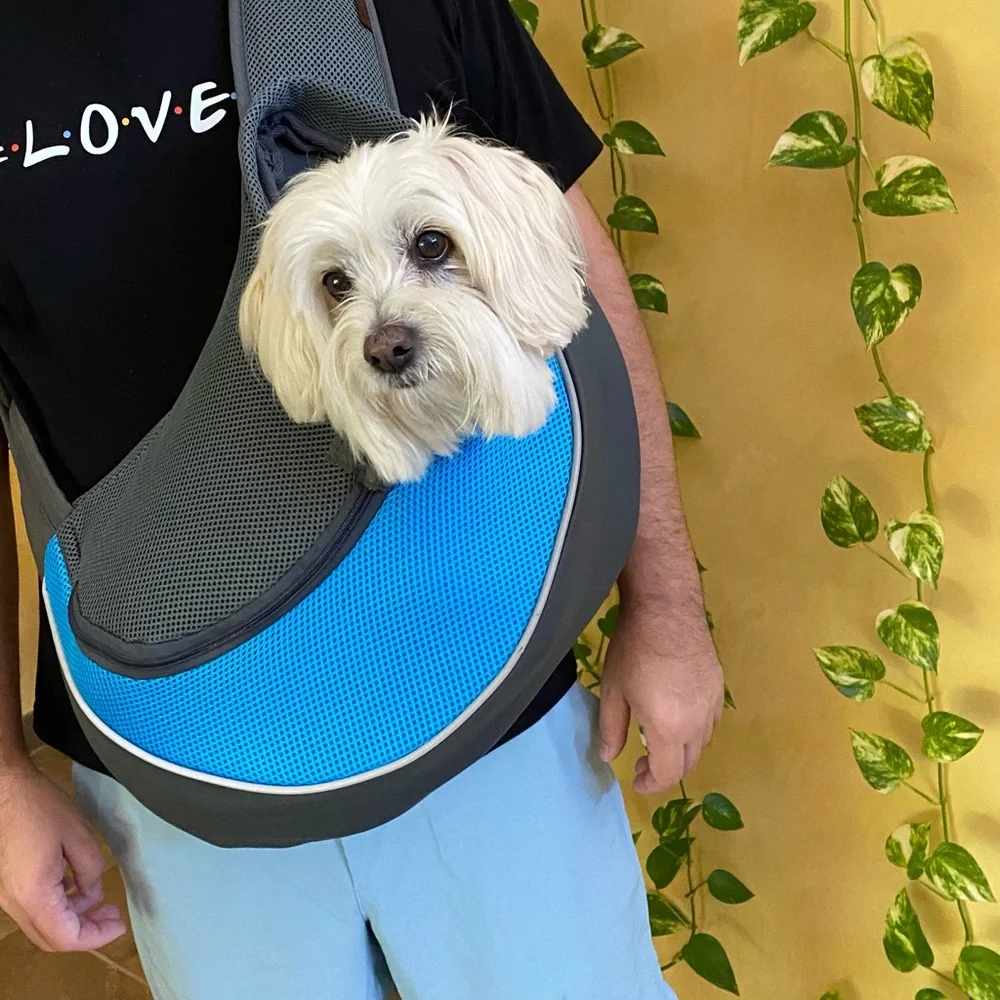 Dog or cat carrier